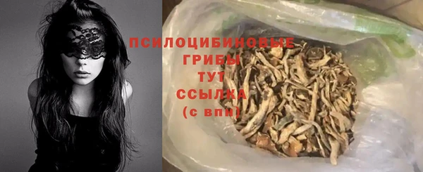 молекула духа Касимов