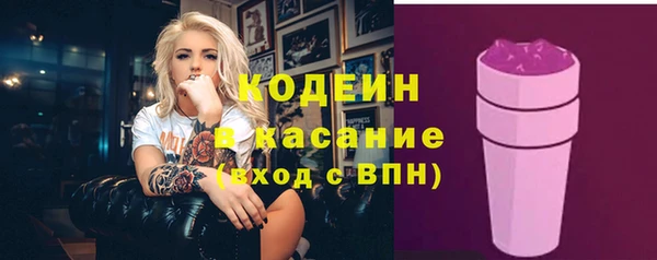 гидра Карпинск